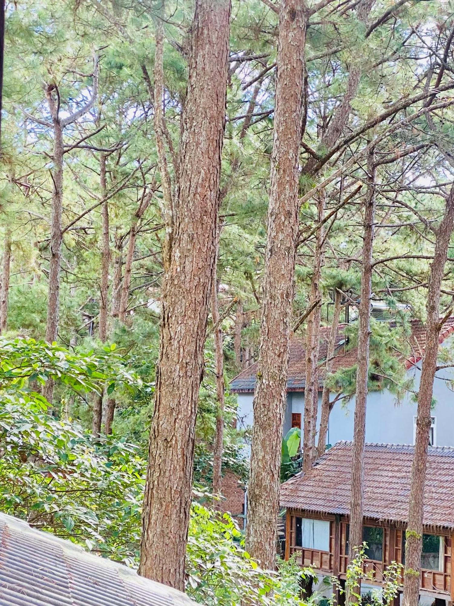 Tron Homestay Kon Von Kla ภายนอก รูปภาพ