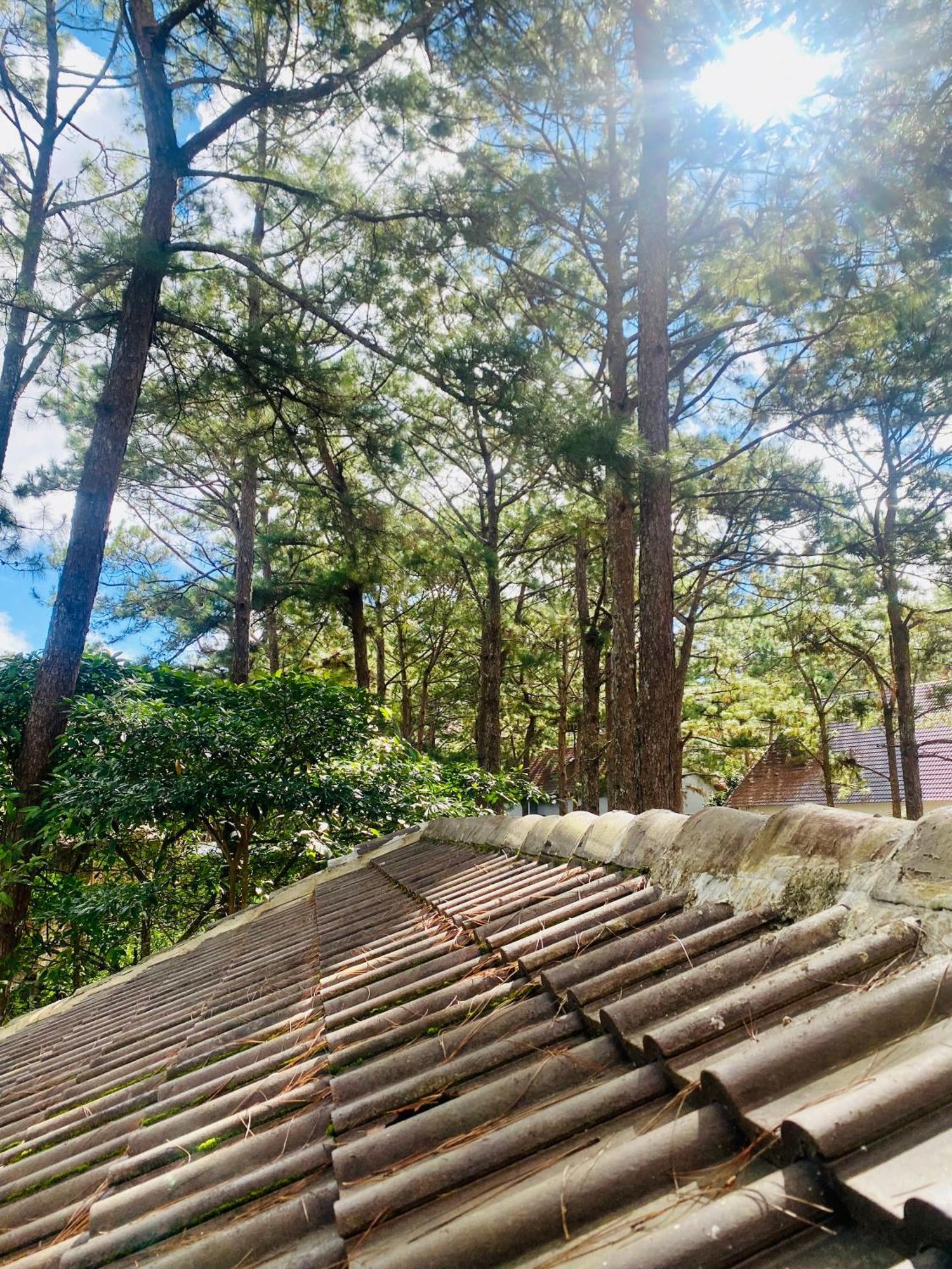 Tron Homestay Kon Von Kla ภายนอก รูปภาพ