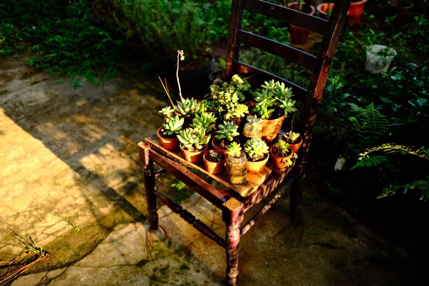 Tron Homestay Kon Von Kla ภายนอก รูปภาพ