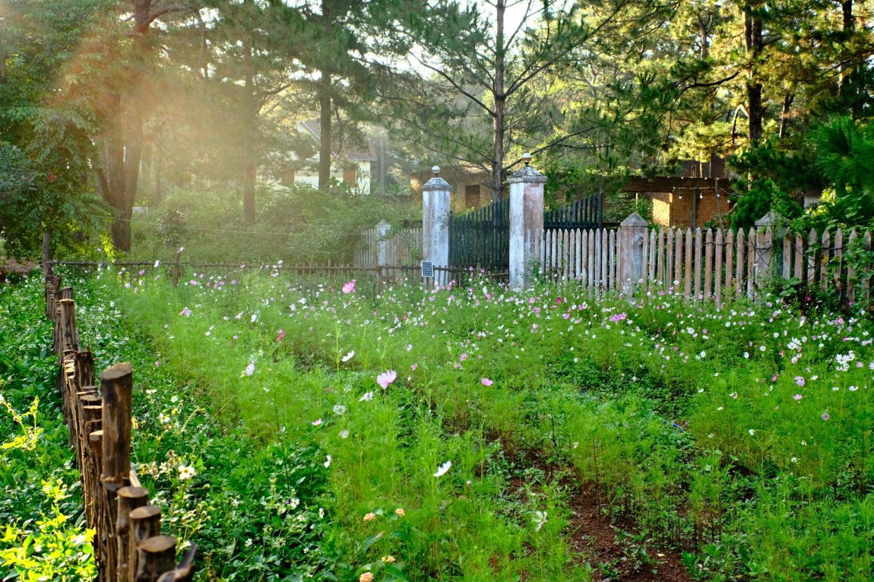 Tron Homestay Kon Von Kla ภายนอก รูปภาพ